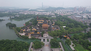 悽