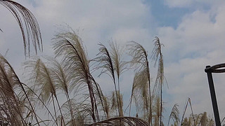 JȔ