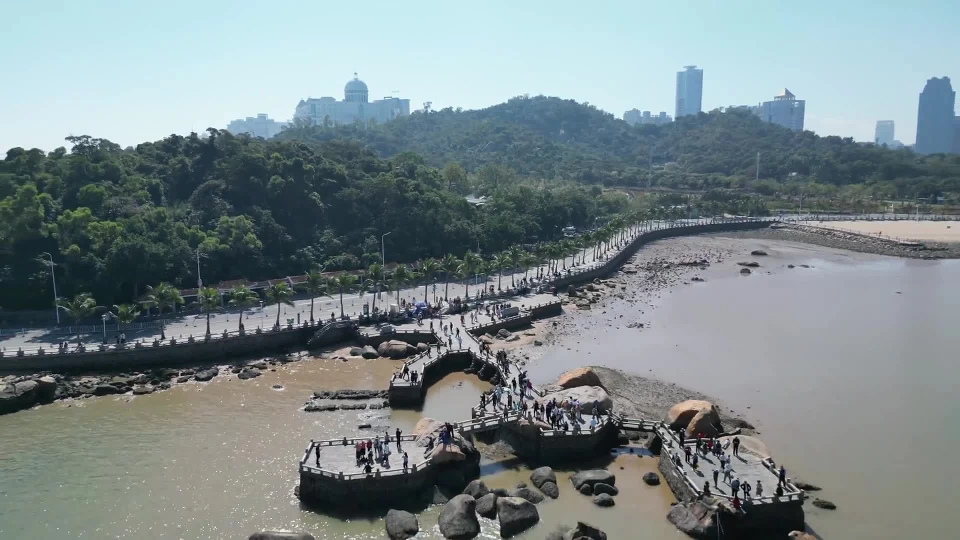 麣H·