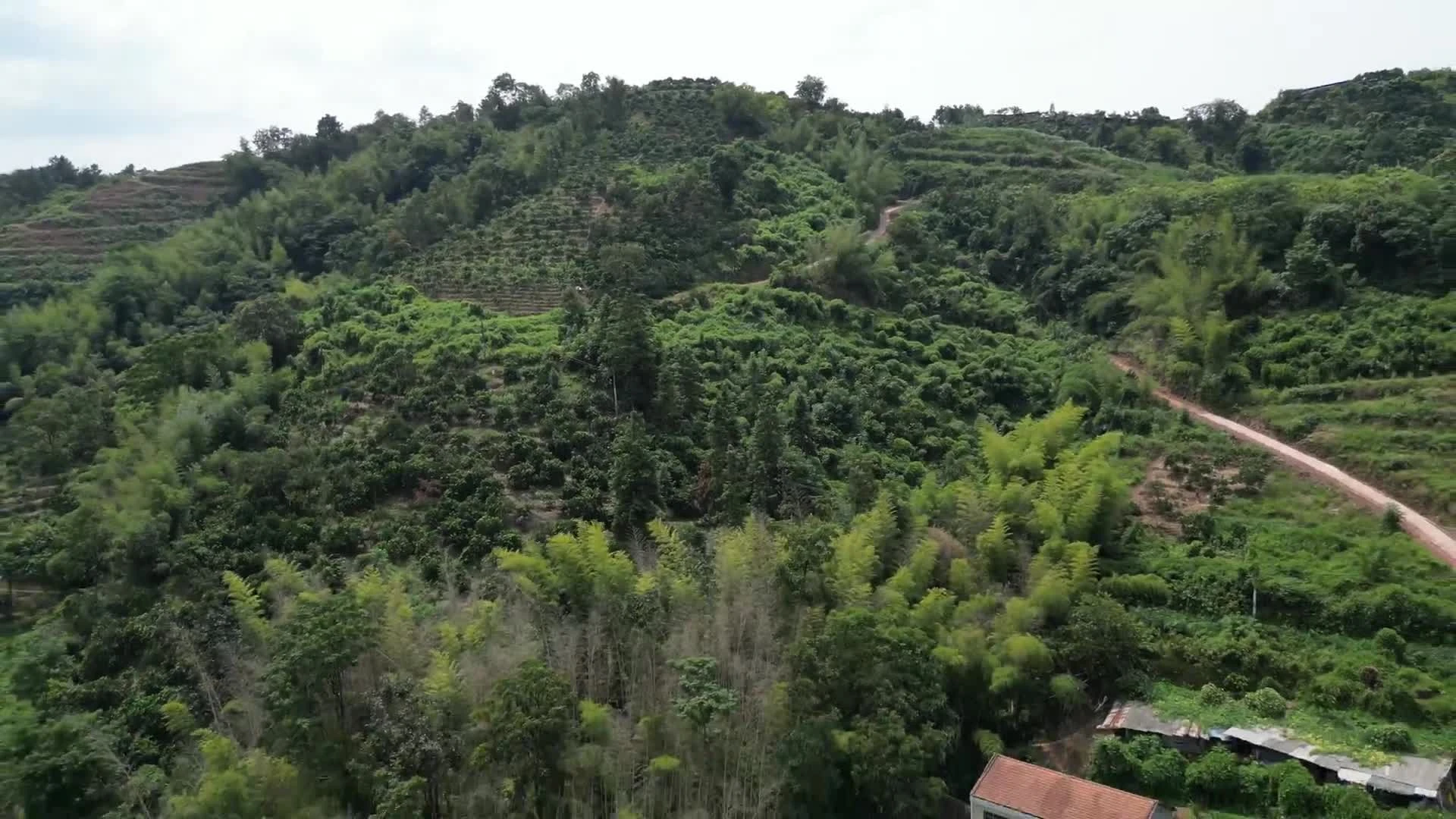 @L