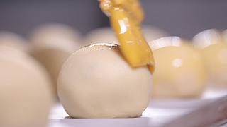 ʽƷ