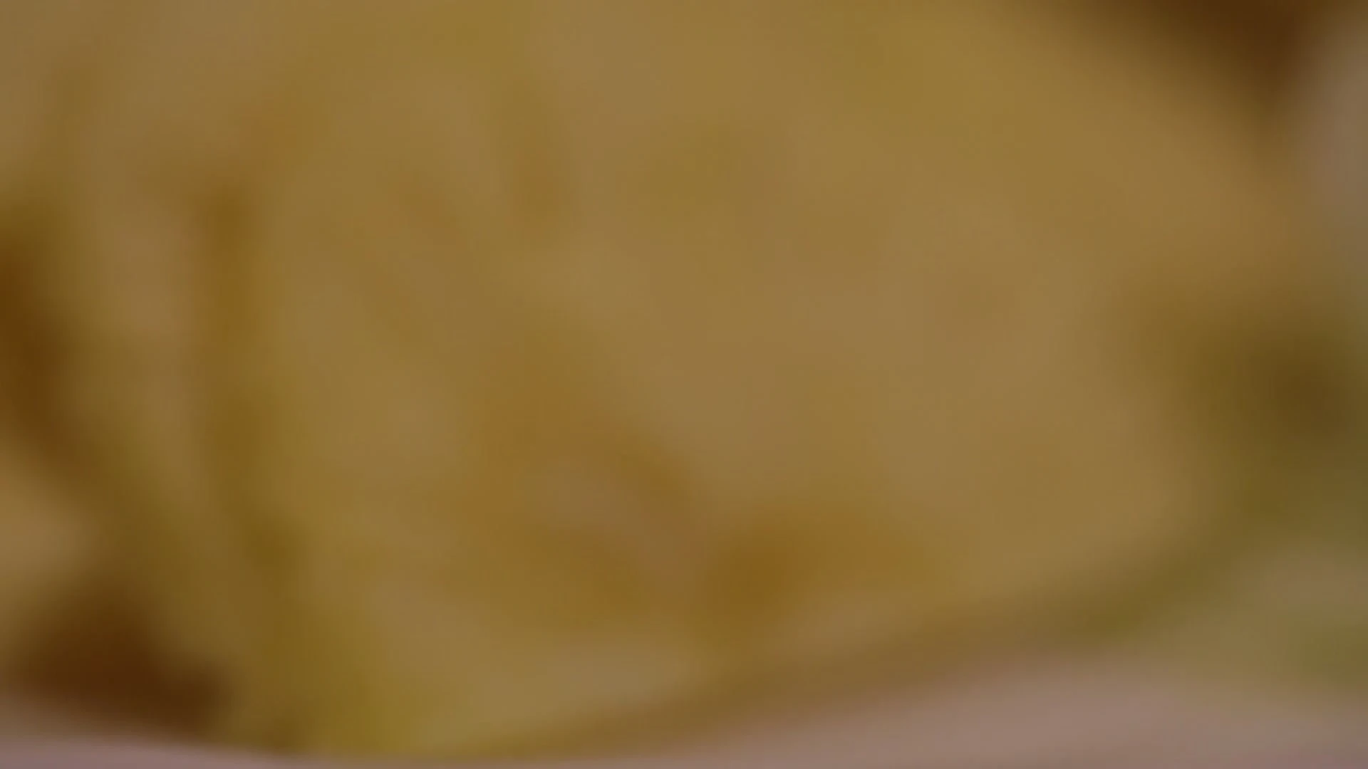 PP