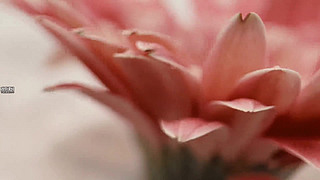 ޻