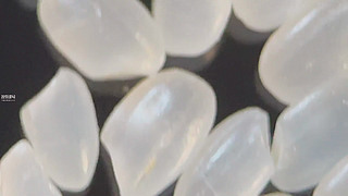 ?zh)،?>
                    </div>
                    <input type=