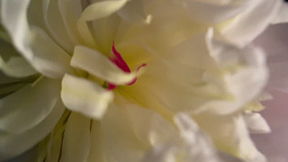 ˎ