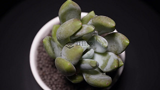 @ˇ