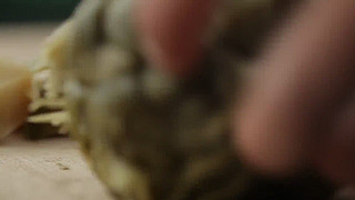 xaƷ