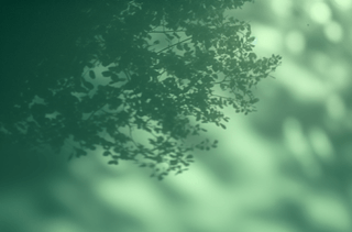 G֦ز