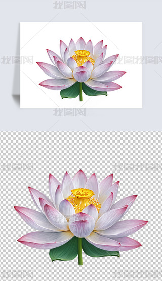 Ψʢ_ĺɻɏ͸pngDƬز