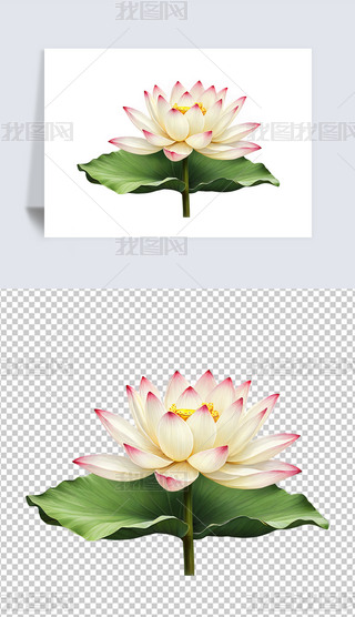 Ψʢ_ĺɻɏ͸pngDƬز