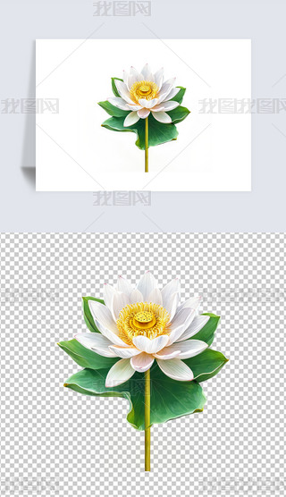 Ψʢ_ĺɻɏ͸pngDƬز