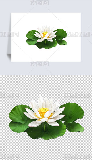 Ψʢ_ĺɻɏ͸pngDƬز