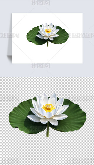 Ψʢ_ĺɻɏ͸pngDƬز