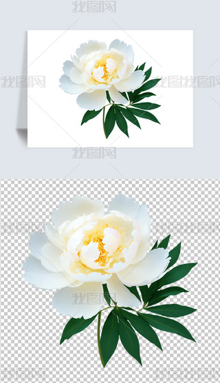 ʢ_ĵˎܺ⓸png͸DƬز