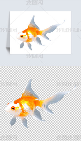 һ׽~^p~С~V⓸png͸ز