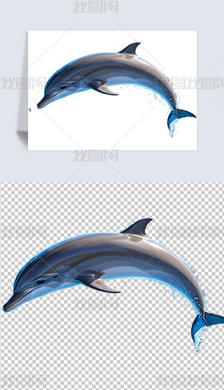 ɐӾґ཭ຣ⓸͸pngDƬز