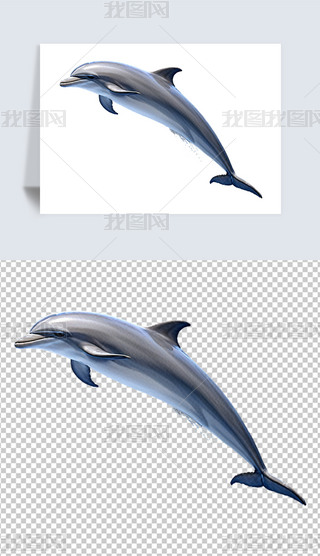 ɐӾґ཭ຣ(bo)⓸͸pngDƬز