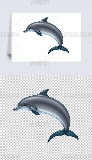 ɐӾґ཭ຣ⓸͸pngDƬز