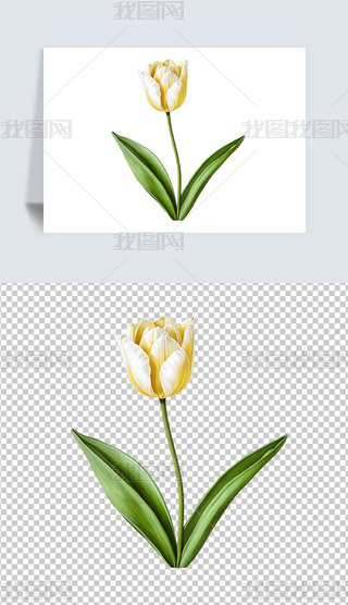 Gɫֲﻨ㻨⓸png͸DƬز