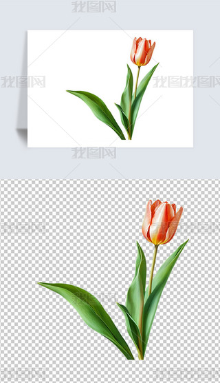 Gɫֲﻨ㻨⓸png͸DƬز