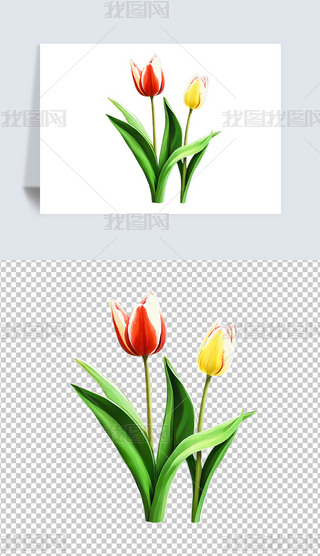 Gɫֲﻨ㻨⓸png͸DƬز