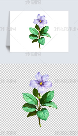 ɫ_m仨ܺ⓸͸pngDƬز