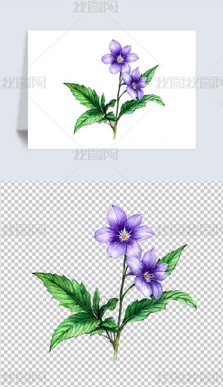 ɫ_m仨ܺ⓸͸pngDƬز