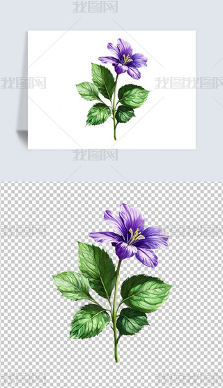 ɫ_m仨ܺ⓸͸pngDƬز