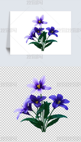 ɫ_m仨ܺ⓸͸pngDƬز