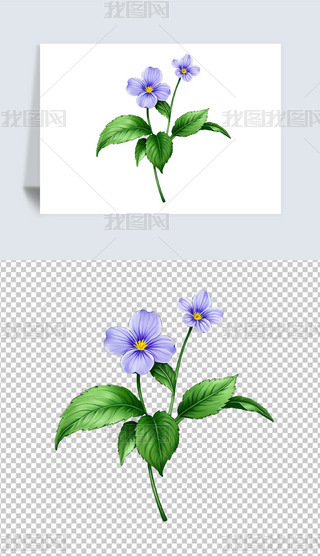 ɫ_m仨ܺ⓸͸pngDƬز