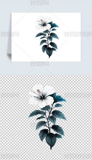 G~׻ܽػܲ宋png͸DƬز