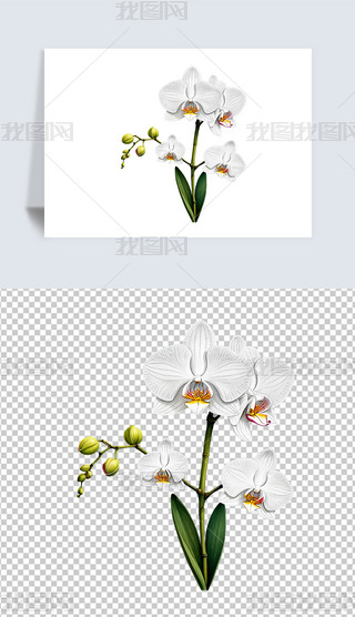 Ψɫɫmܺ宋⓸png͸ز