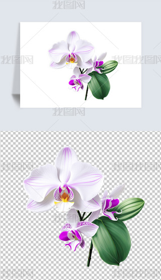Ψɫɫmܺ宋⓸png͸ز