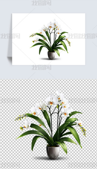 Ψɫɫmܺ宋⓸png͸ز