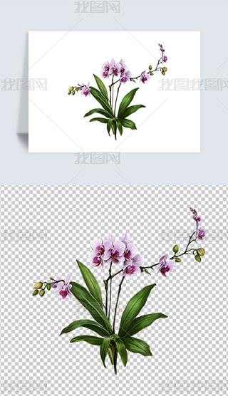 Ψɫɫmܺ宋⓸png͸ز