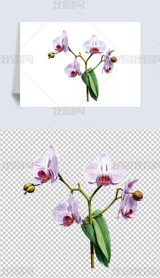 Ψɫɫmܺ宋⓸png͸ز