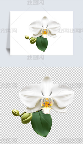 Ψɫɫmܺ宋⓸png͸ز