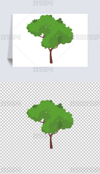 ľһØСɭֲ(6)