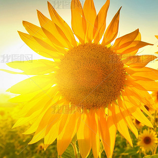 (l)^cF(tun)Y(ji)/ѭh(hun)F(tun)(du)eObgm