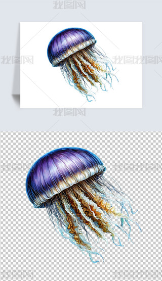 ɐۺˮĸĸ宋⓸png͸ز