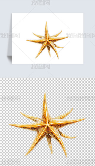 ﺣ~宋⓸pngDƬز