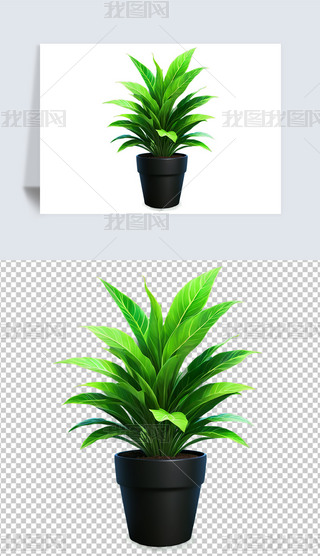 GɫֲԻ仨ܲ宋(bo)⓸pngDƬز