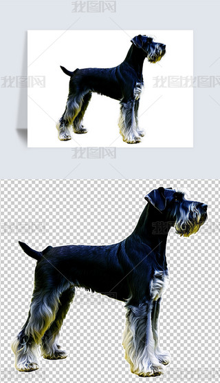 ɐیﹷѩ{宋(bo)⓸pngDƬز