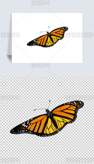 ɐ۵宋(bo)⓸Png͸DƬز