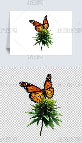 ɐ۵宋(bo)⓸Png͸DƬز