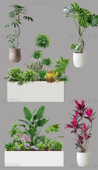 ҃(ni)GֲˮW(wng)tҾ