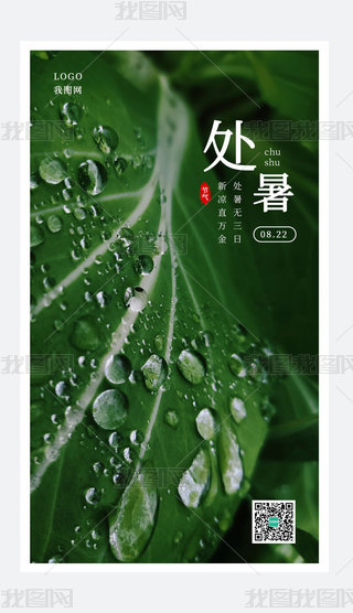 ˮ麣