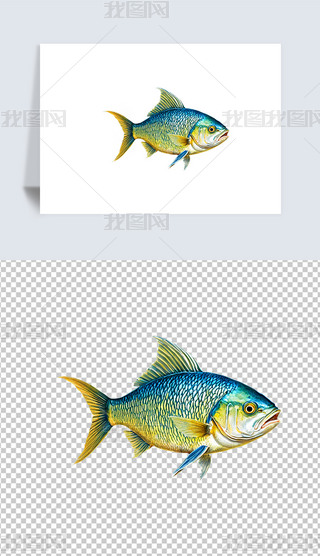 r^p~宋⓸png͸DƬز