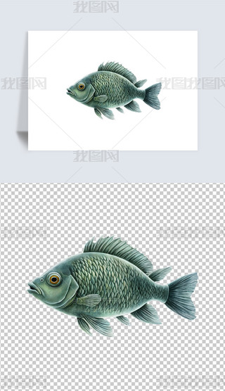 r^p~宋⓸png͸DƬز