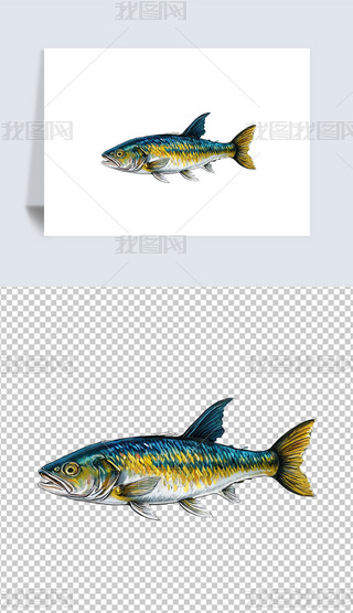 r^p~宋⓸png͸DƬز
